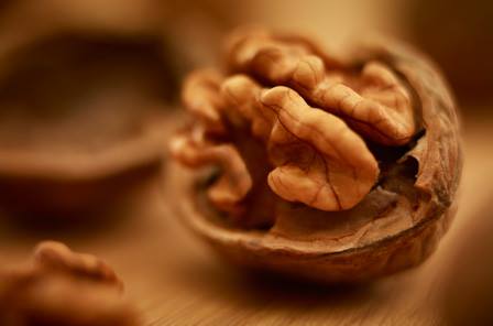 Nueces Enteras - Cosecha de Temporada