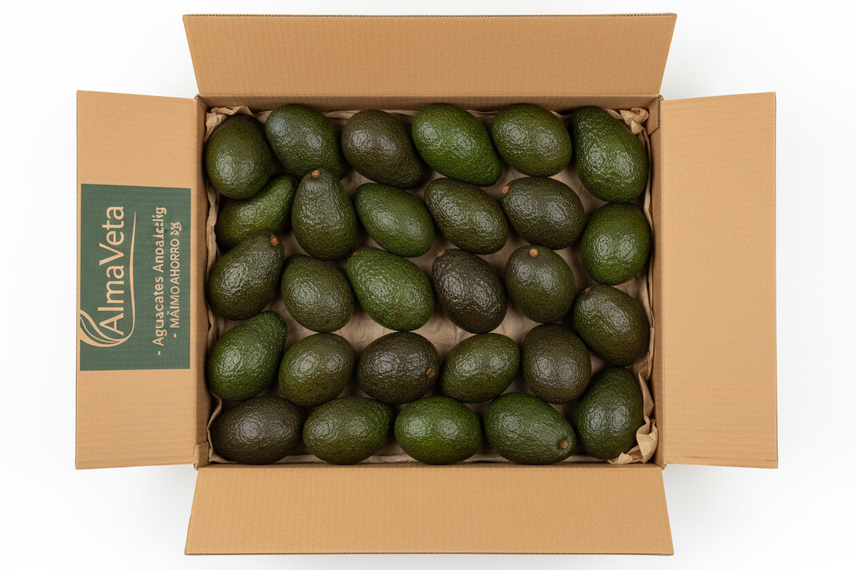 Aguacates de Andalucía - Variedad Hass Premium