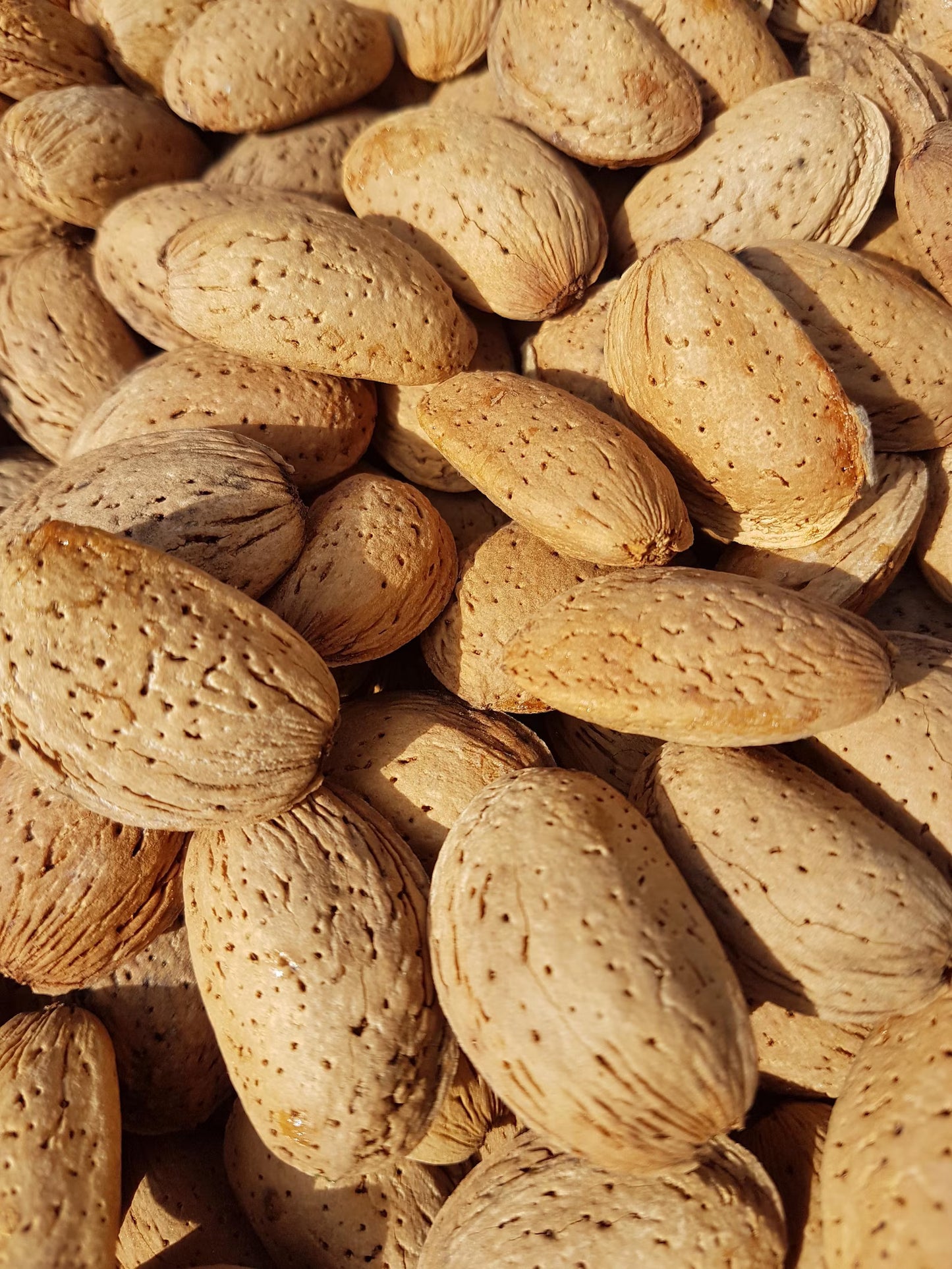 Almendra con Cáscara 100% Natural Almaveta