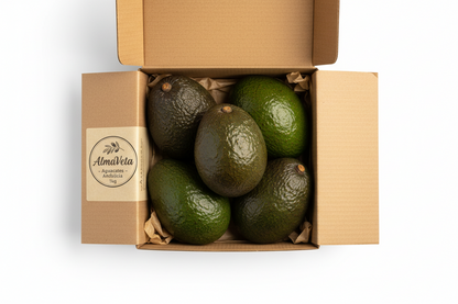 Aguacates de Andalucía - Variedad Hass Premium