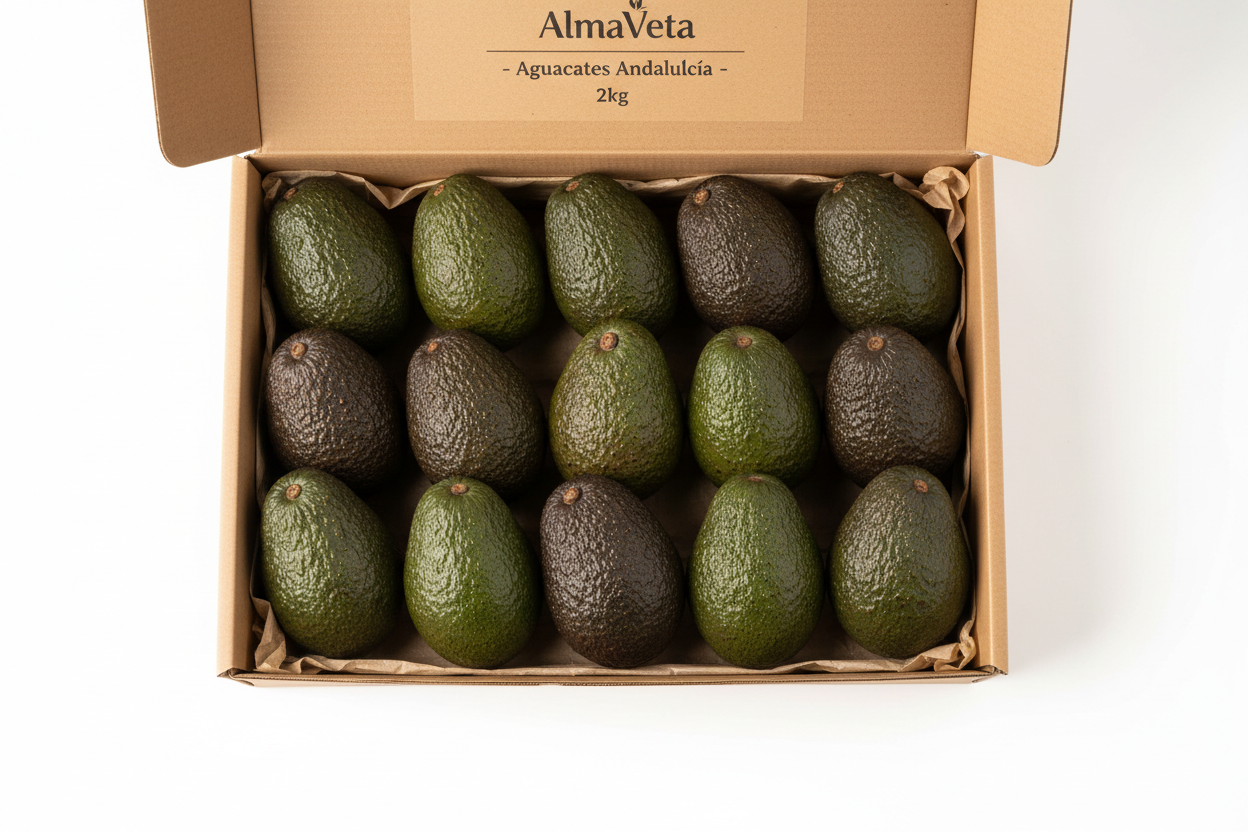 Aguacates de Andalucía - Variedad Hass Premium