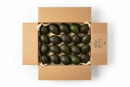 Aguacates de Andalucía - Variedad Hass Premium