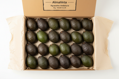 Aguacates de Andalucía - Variedad Hass Premium
