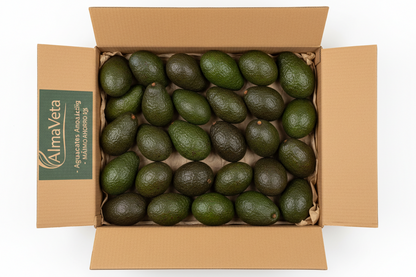 Aguacates de Andalucía - Variedad Hass Premium