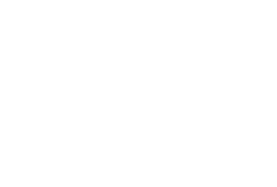 AlmaVeta