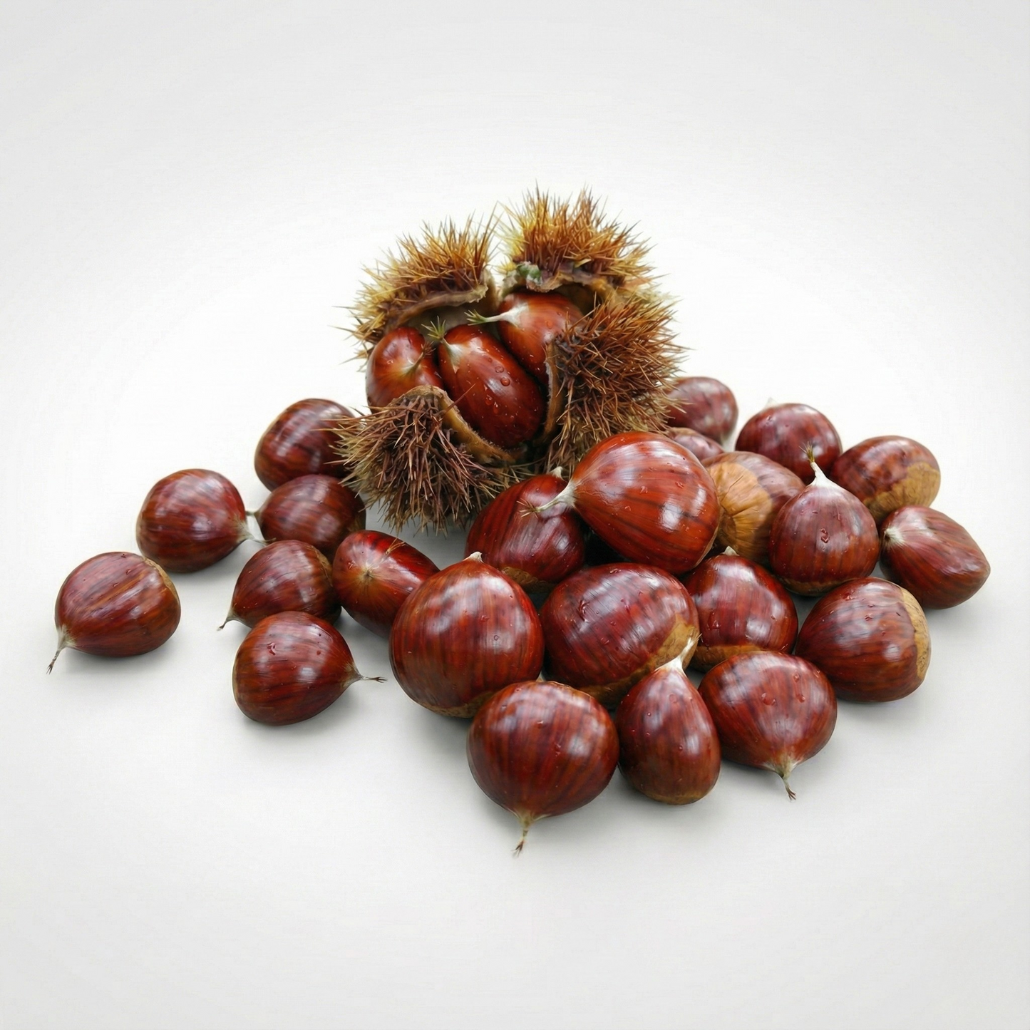 Castañas Premium Extra