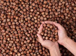 Almaveta Avellanas Premium - Selección Natural